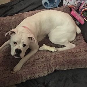 Meet your Posher, Kerri